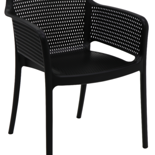Gabriela Black Polypropylene and Fiberglass Chair