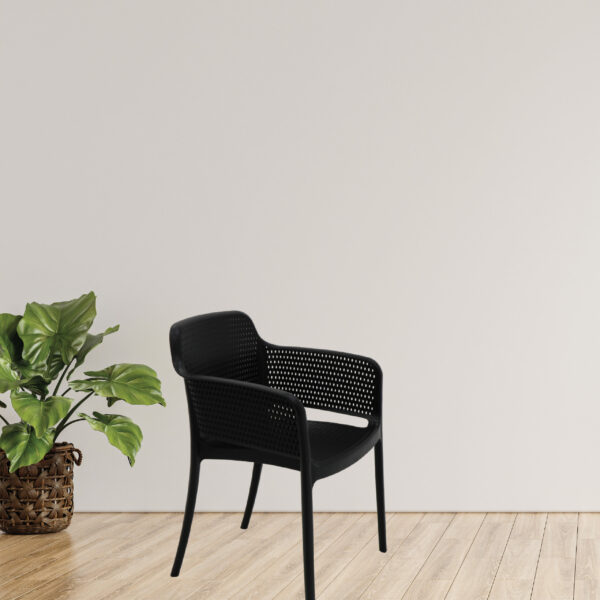 Gabriela Black Polypropylene and Fiberglass Chair